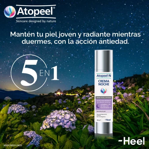 Atopeel N Crema Noche Heel