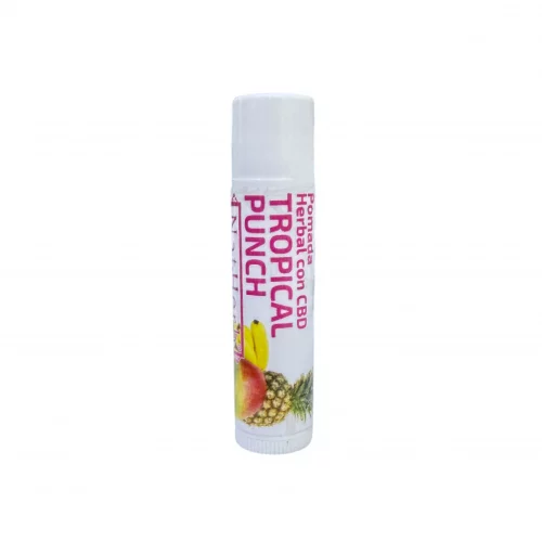 Barra Humectante Labial Tropical Punch NAT HERB