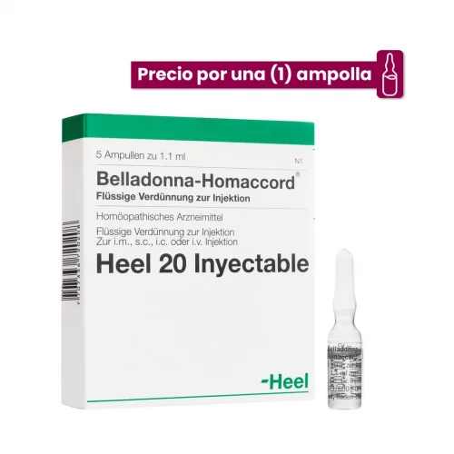 Belladona Homaccord Ampolla Medicamento Homeopático