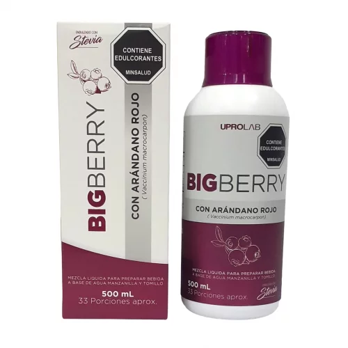 BIGBERRY (FRASCO X 500ml)
