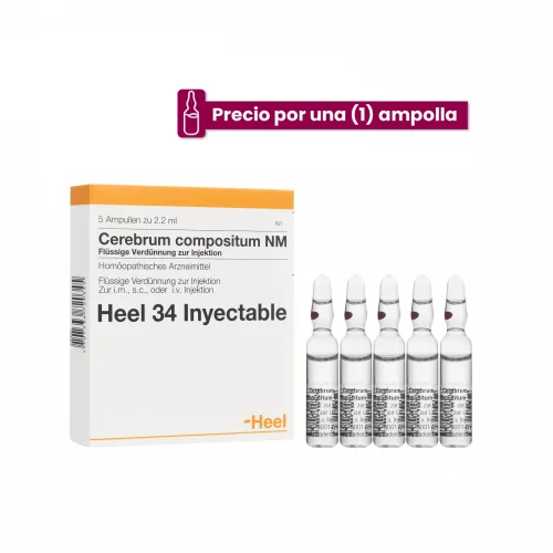 Cerecomp Cerebrum Compositum Ampolla Medicamento Homeopático