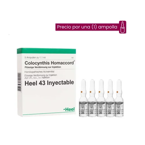 Colocynthis Homaccord Ampolla Medicamento Homeopático