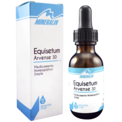 Equisetum Arvense 3D Cola de Caballo