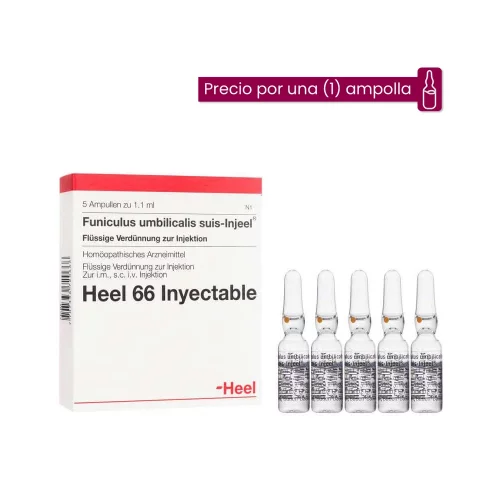 Funiculus Umbilicalis Suis Injeel Medicamento Homeopático