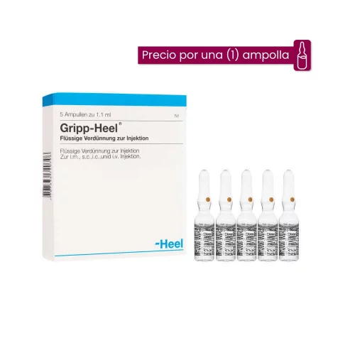 Gripp Heel Ampolla Medicamento Homeopático