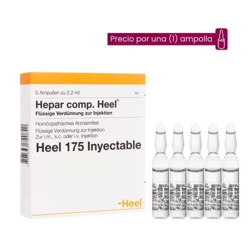 Hepar Compositum Ampolla Medicamento Homeopático