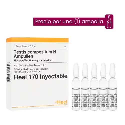 Testis Compositum N Ampolla Medicamento Homeopático