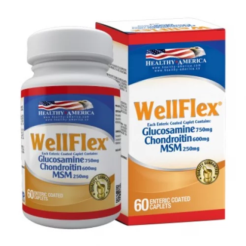 Wellflex x 60 Sulfato de Glucosamina, Sulfato de Condroitina y MSM
