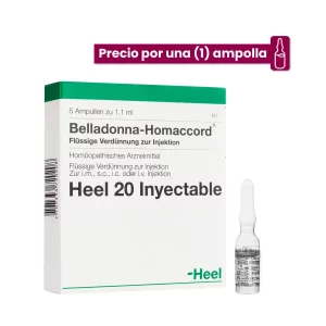 Belladona Homaccord Ampolla Medicamento Homeopático