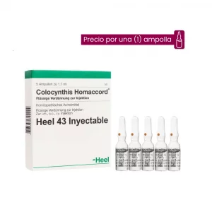 Colocynthis Homaccord Ampolla Medicamento Homeopático