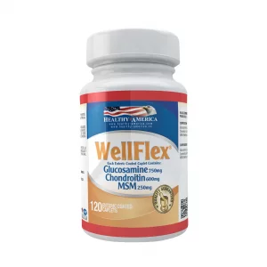 Wellflex x 120 Sulfato de Glucosamina, Sulfato de Condroitina y MSM