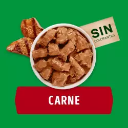 Alimento Humedo Perro Dog Chow 100 Gr Carne Adultos 12478296