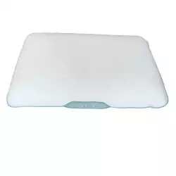 Almohada Bordada Expressions 60X40X13 Cm