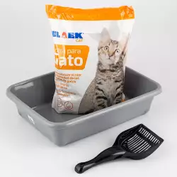 Arenera + pala + arena clark 4.5 kg 47994 surtido