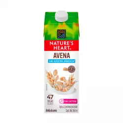 Avena Natures Hearth Sin Azucar 946 Ml Natural 7344