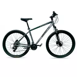 Bicicleta Benotto Montaña Black Eagle R29