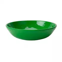 Bowl Expressions Medianocm 20Cm Verde Melamina Tt0649