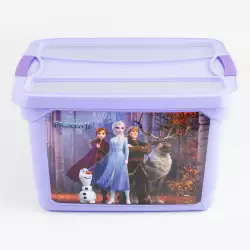 Caja Org Kendy Monserrat Frozen Disney 21 L 164060