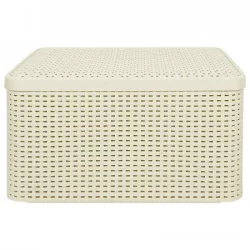 Caja Organizadora Curver Blanco