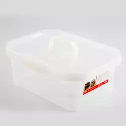 Caja Organizadora Estra 4-1049135   297X165X41.80C