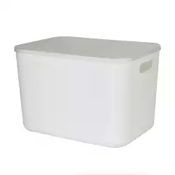 Caja Tengone Marfil 36X26X24Cm Blanco 20 Lt Plastico Tg51293