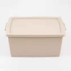 Canasta Ordene My Closet 15X24X33Cm Beige Plastico Or80410                               