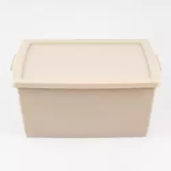 Canasta Ordene My Closet 18X41X29Cm Beige Plastico Or80510                               