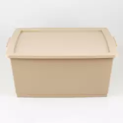 Canasta Ordene My Closet 23X37X53Cm Beige Plastico Or80710                               