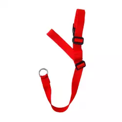 Collar Perro Interpet Pc0092 Grande Surtido