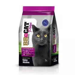 Concentrado Gato Br For Cat Pure Adulto Pollo 1kg