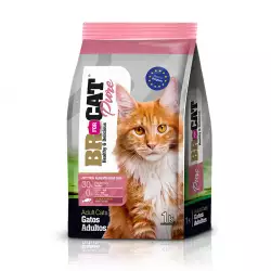 Concentrado gato br for cat pure adulto salmon 1 kg