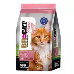 Concentrado Gato Br For Cat Pure Adulto Salmon 10kg