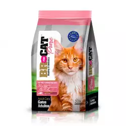Concentrado Gato Br For Cat Pure Adulto Salmon 3 Kg 300100006