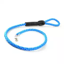 Correa Perro Interpet Pc0069 16Mmx120 Cm Cordon Surtida