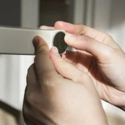 Fieltro Ferrenovo Fn-20207 Adh Marrón 32Mm X6 Unds