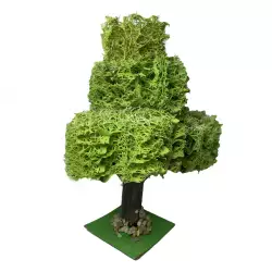 Fig Pesebre Cedro 11X14Cm 1038