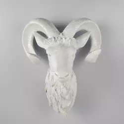 Figura Decorativa Expressions 68155 30