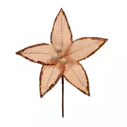 Flor Miro Christmas   1X20Cm Champagne