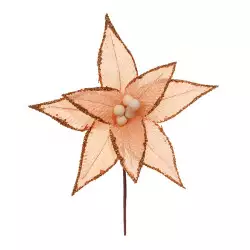 Flor Miro Christmas 1X25Cm Champagne