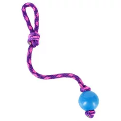 Juguete Cuerda con Pelota para Mascotas Multicolor