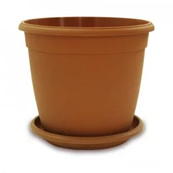 Matera Genova 26 Terra + Plato 23Cm               