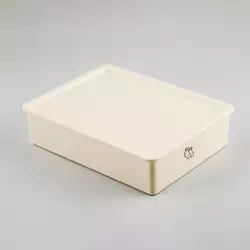 Organizador Cajon Haixing Medias 30X22X8Cm Crema Plastico Hxp0074