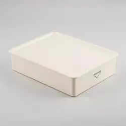 Organizador Cajon Haixing Panti 32X24X7Cm Crema Plastico Hxp00745
