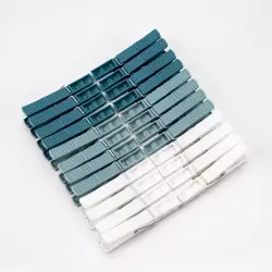 Pinzas ropa rayen 24 un 2346 surtido