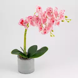 Planta artificial expressions   15x40cm roja blanc