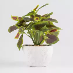 Planta artificial expressions   18x23cm verde  pol