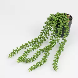 Planta artificial expressions   9x30cm verde  poli