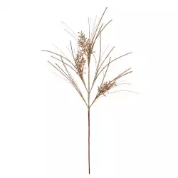 Rama Miro Christmas   1X80Cm Champagne