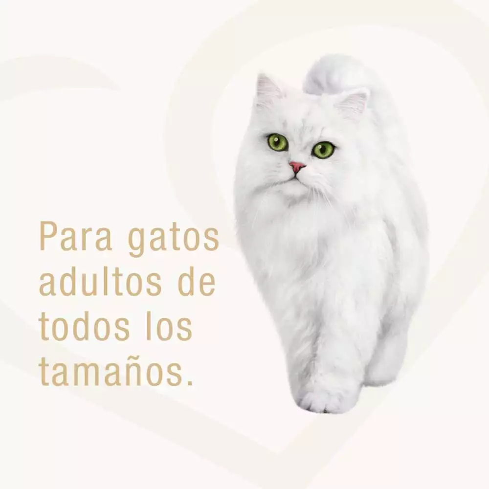 Alimento Humedo Gato Purina 85 Gr Salmon 12460542