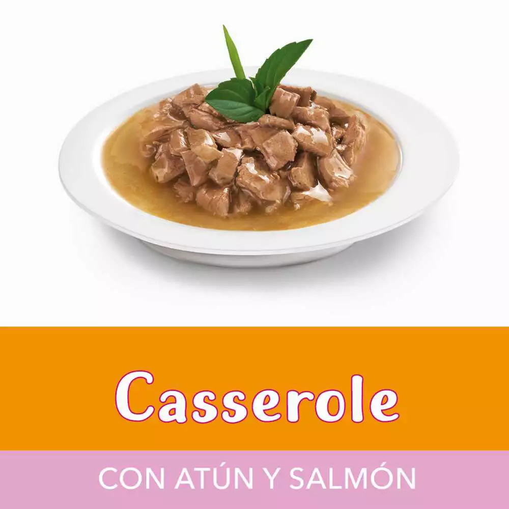 Alimento Humedo Gato Purina 85 Gr Salmon 12460542